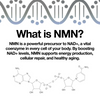 Nurecover® Pure NMN 500mg Capsules - nurecover